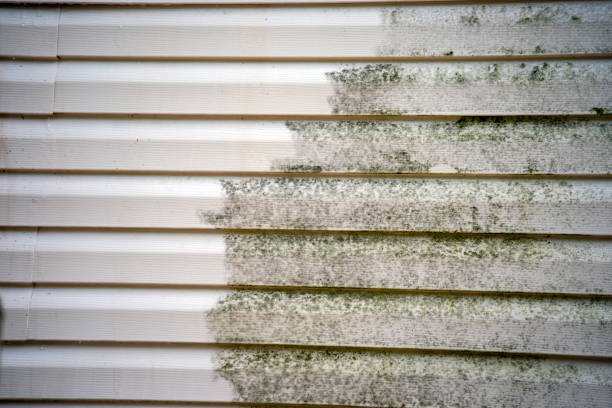 Best Basement Cleanout  in Lynnville, IN